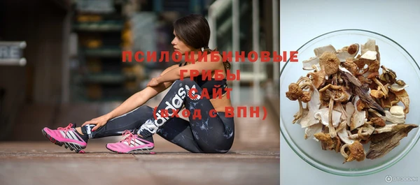 трава Зерноград