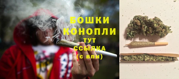 трава Зерноград