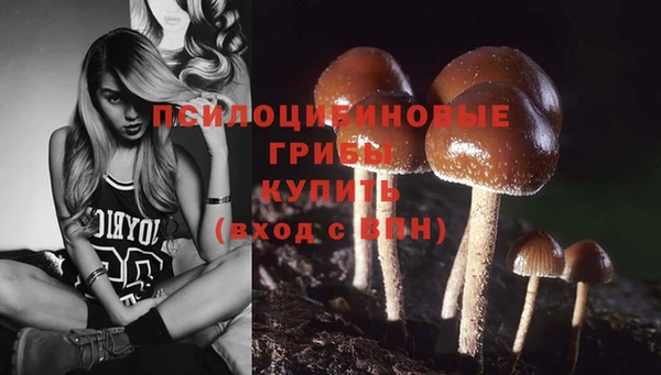 трава Зерноград
