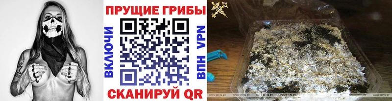 Галлюциногенные грибы GOLDEN TEACHER  omg как зайти  Керчь 